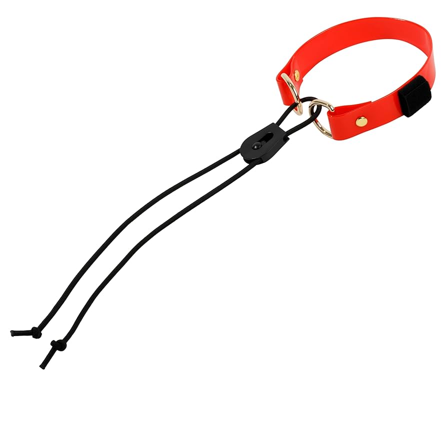 Amazon.com: sportdog Replacement Strap - Bungee Style Dog